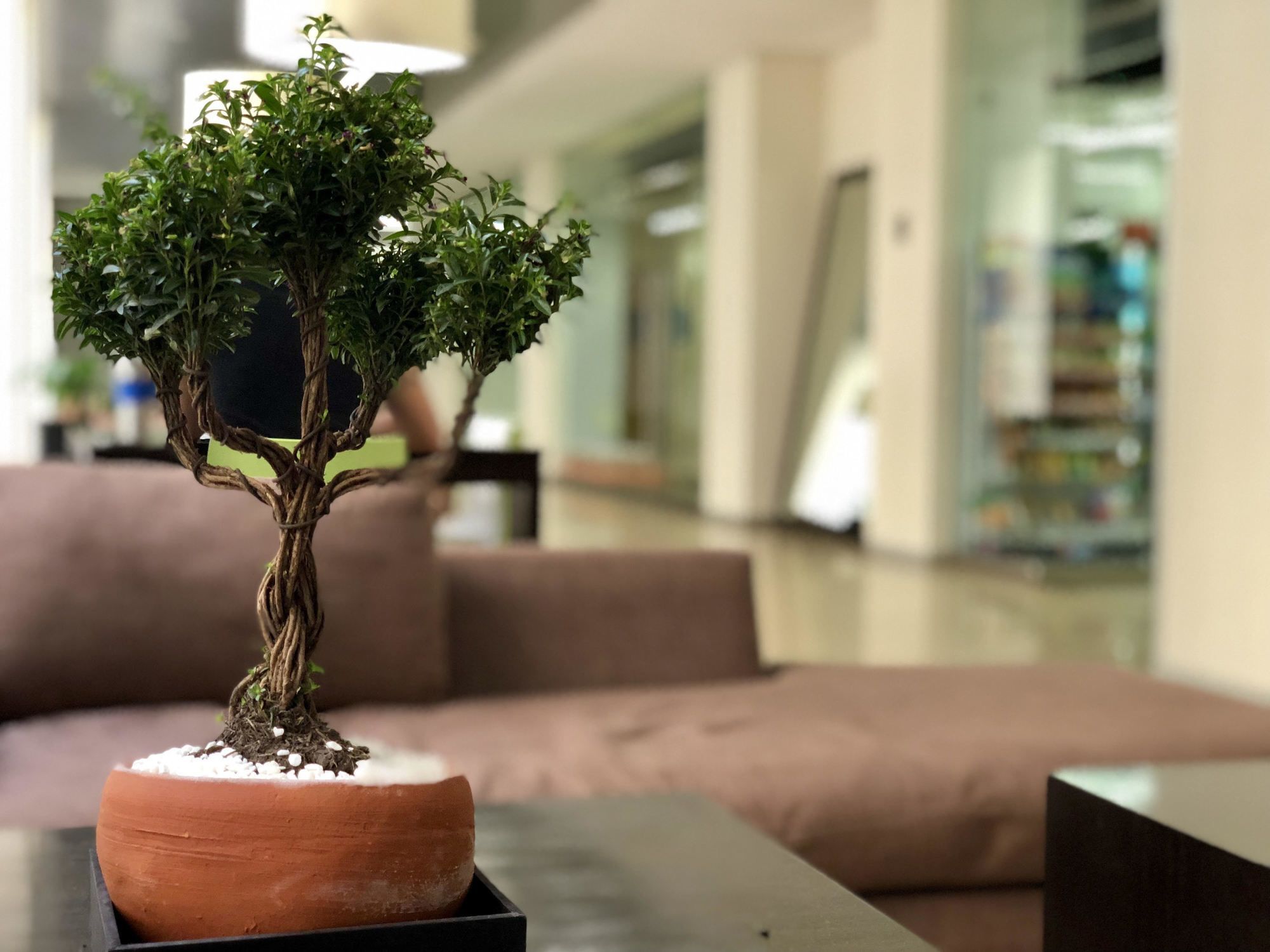 Boutique Apartment Pbk Mexikóváros Kültér fotó